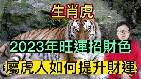 屬虎顏色2023|生肖虎：2023年屬虎人吉祥色和禁忌色有哪些